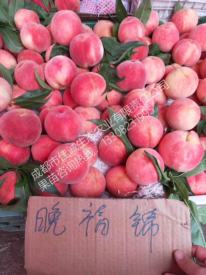 1599096609192844.jpg 微信图片_202009021603182 拷贝.jpg