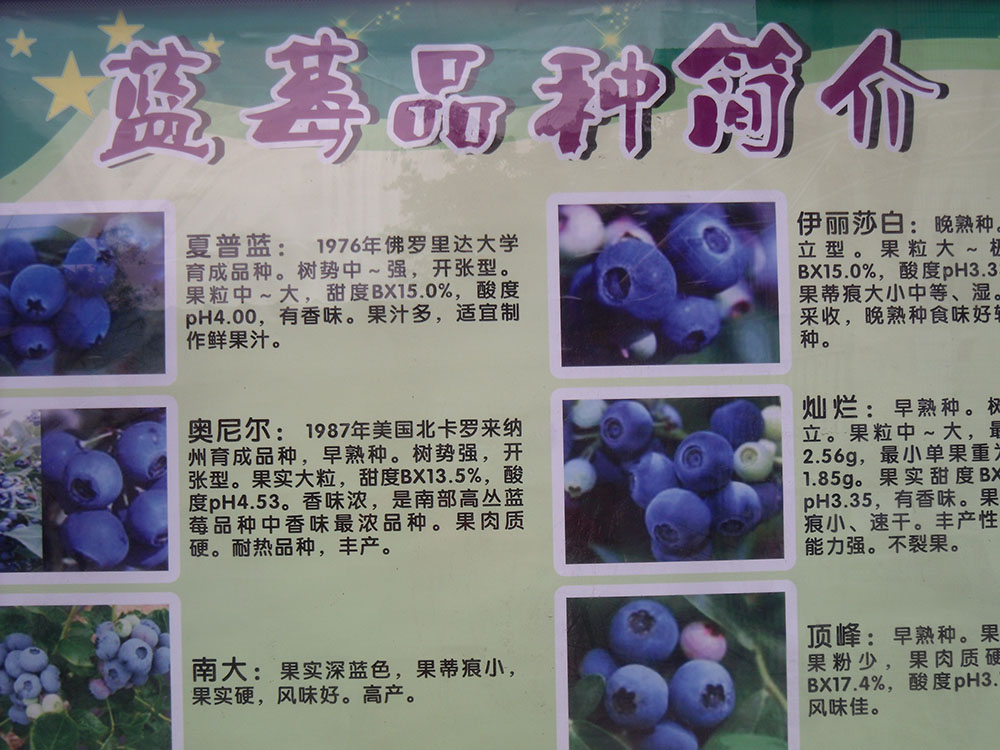 DSCF7054.JPG