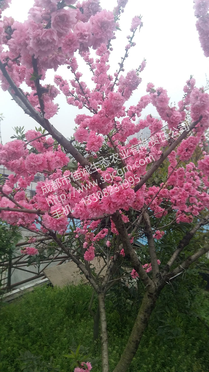 20160329_075443.jpg
