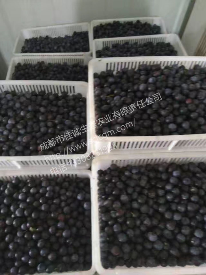 mmexport1499850859363 拷贝.jpg