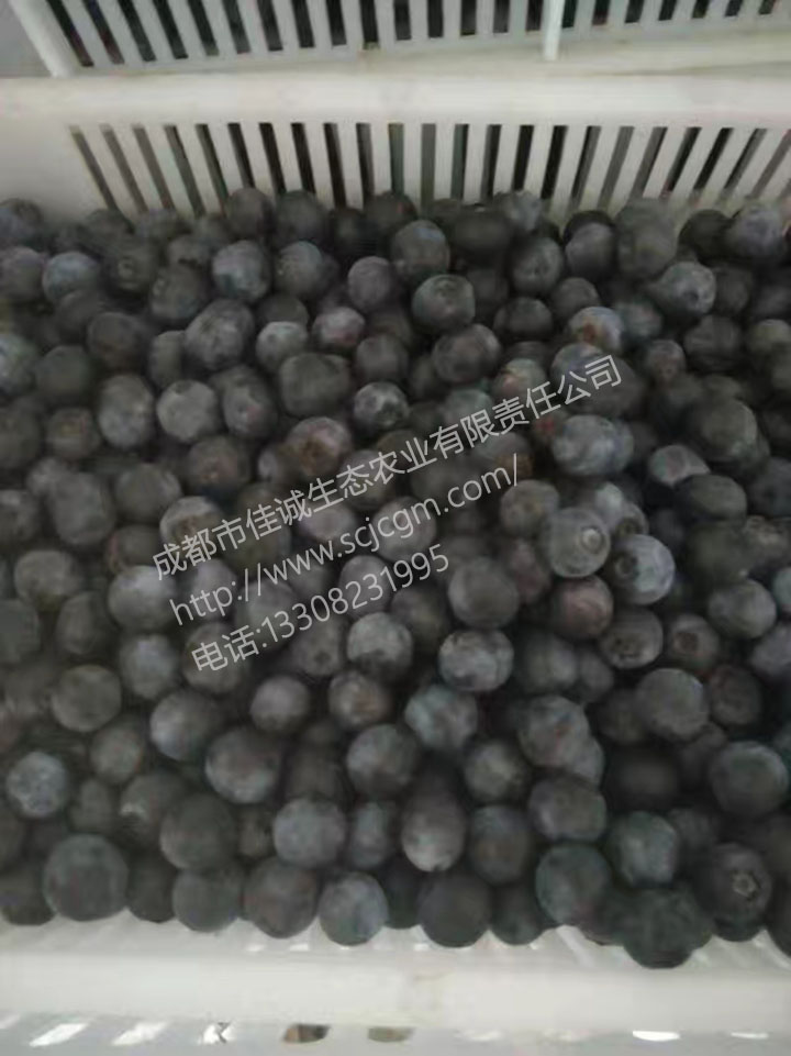 mmexport1499850864594 拷贝.jpg