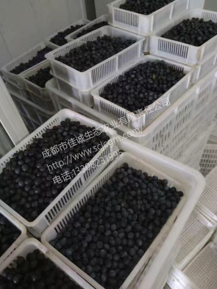 mmexport1499850869350 拷贝.jpg