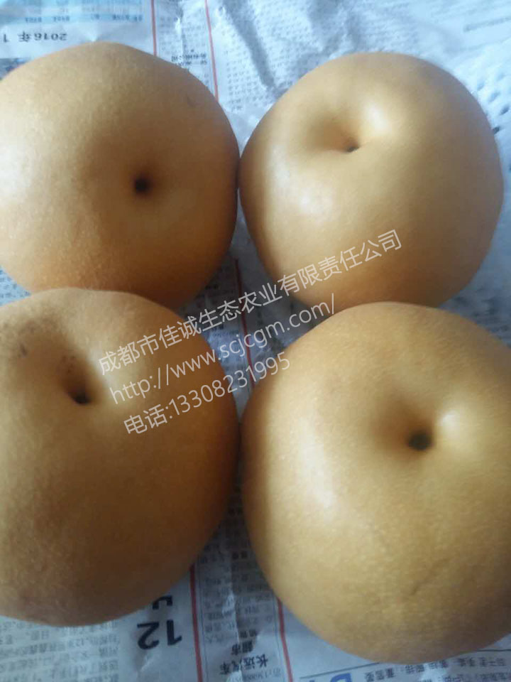 mmexport1477881395884 拷贝.jpg