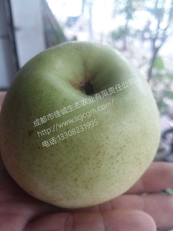 mmexport1477881388513 拷贝.jpg