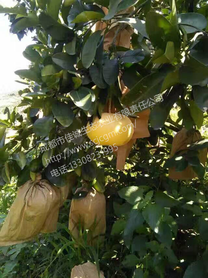 mmexport1486881797035 拷贝.jpg