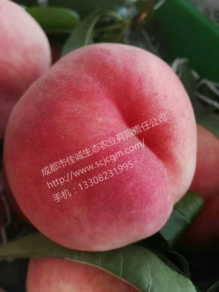 1205036238.jpg
