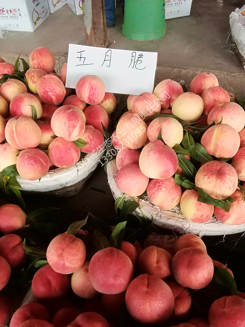 IMG_20180626_135713 副本.jpg