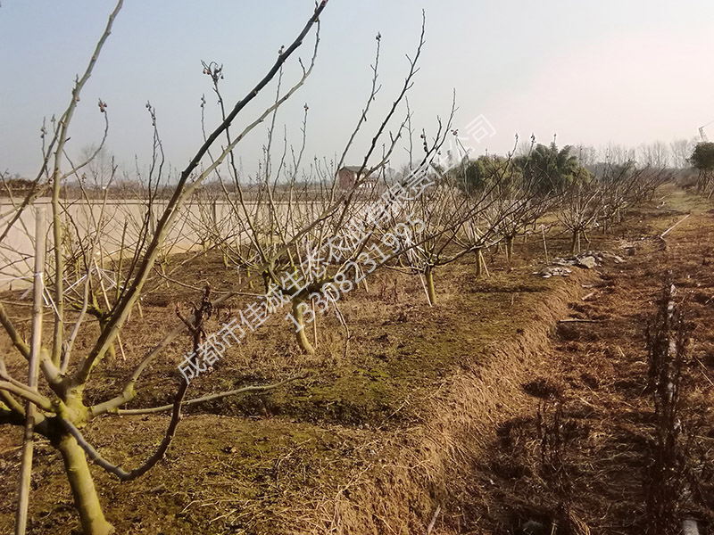 IMG_20190105_110608 副本.jpg
