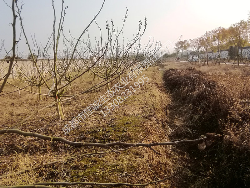 IMG_20190105_111103 副本.jpg